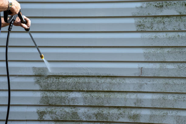 Best Garage Cleanout  in Colville, WA
